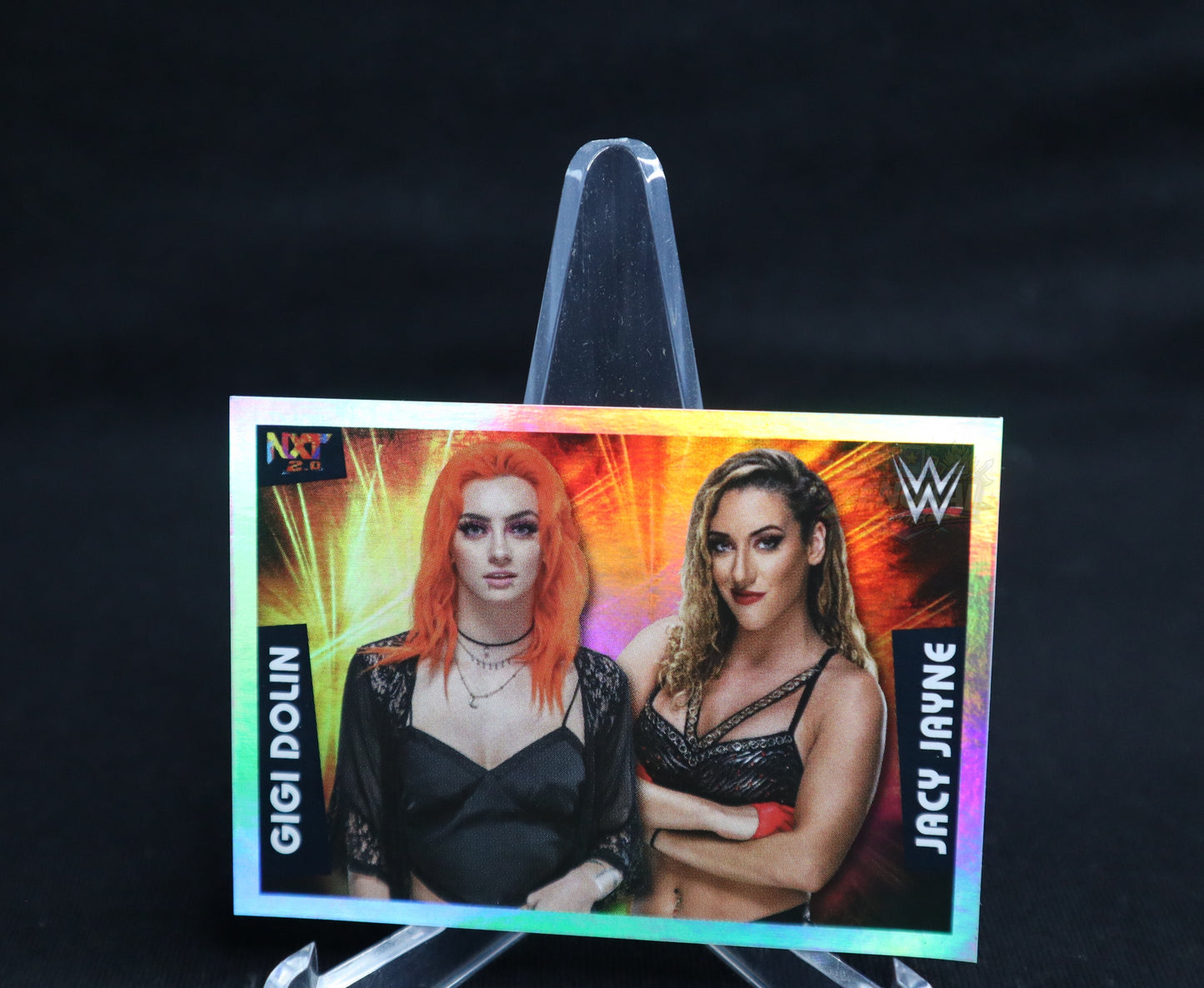 Gigi Dolin Jacy Jane HOLO sticker Panini Very Rare 🔥 NM