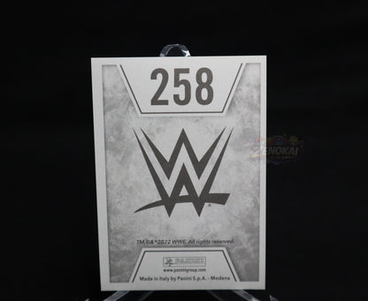 Jimmy Uso & Jey Uso - WWE Panini Sticker 2022 #258
